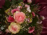 IMGP3471.webp