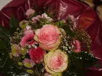 IMGP3472.webp