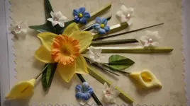 _DSC0059.webp