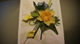 _DSC0124.webp