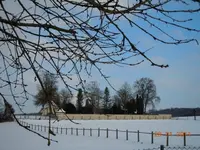 042.webp
