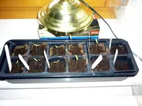 30012011-1.webp