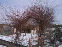 IMAG0010.webp
