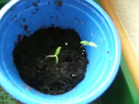 DSCF4872.webp