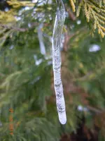 085.webp