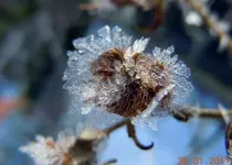 110.webp