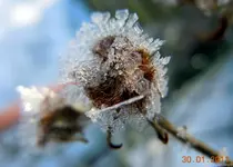 113.webp