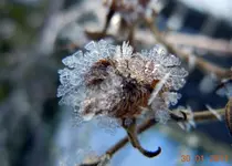 114.webp