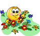 blumenkranz.gif blumenkranz.gif