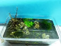 P1030511_Web_oben.webp