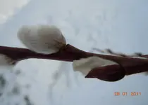 022.webp