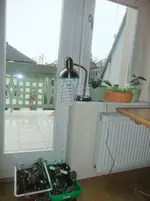 DSCF2336.webp