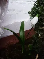 februar 184_0002.webp