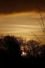 _MG_1698.webp