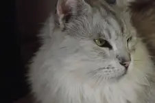 DSCF4801.webp
