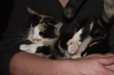 DSCF4816.webp