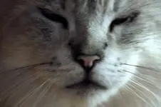 DSCF4808.webp