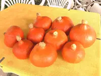 IMAG0032.webp
