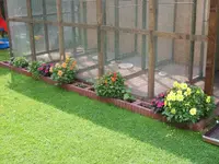 Garten Aug 08 019.webp