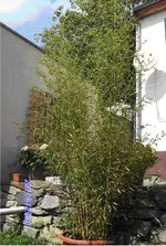 3_.webp