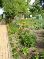 frühling - sommer 2008 023.webp