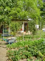 frühling - sommer 2008 030.webp