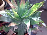 Bild019.webp