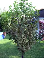 BILD2332_Bildgröße ändern.webp