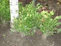 Bild_2.webp