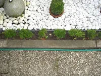 Bild_3.webp