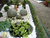 Bild_4.webp