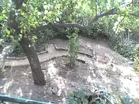 Bild80.webp
