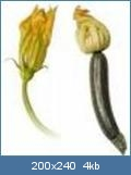 l.Mann,r.Frau.webp