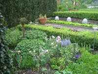 test.webp