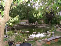 2008_0825Teich0003.webp