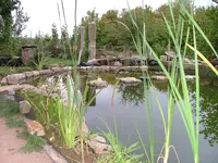 2008_0825Teich0008.webp