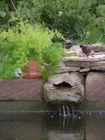 2008_0825Teich0009.webp