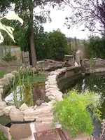 2008_0825Teich0004.webp