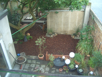 CIMG2317.webp