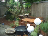 CIMG2323.webp