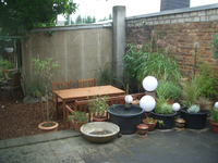 CIMG2322.webp