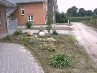 DSC00005.webp