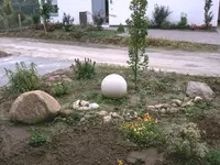 DSC00007.webp