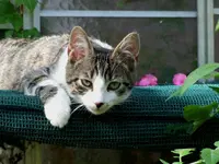 Kopie von Bild 4192.webp
