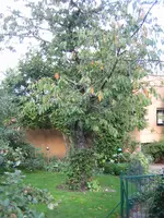 test.webp