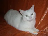 gabby1.webp