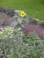 S6301039.webp