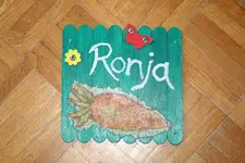 A-Sager Ronja.webp
