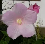 P1020009.webp