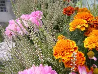 DSCN0430.webp